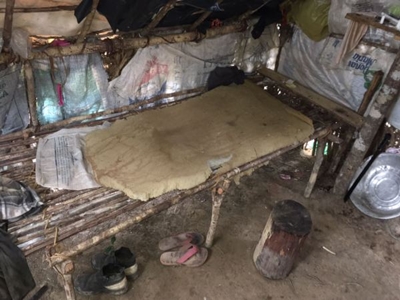 Cardeal da Silva: Força-Tarefa autua carvoaria clandestina que utilizava trabalho escravo