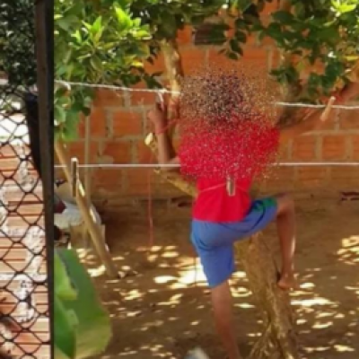 Palmas de Monte Alto: Mulher é presa após amarrar filho em árvore do quintal de casa