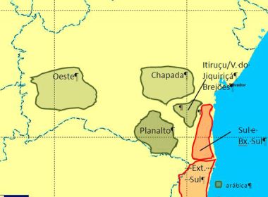 Bahia ganha notoriedade na produção de café; estado é o quarto maior produtor do país