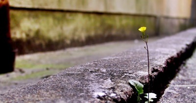 A vida é um caminho de aprimoramento constante