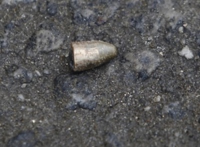 S. A. de Jesus: Segunda vítima de disparo de arma de fogo no Comum do Rio da Dona morre no HRSAJ