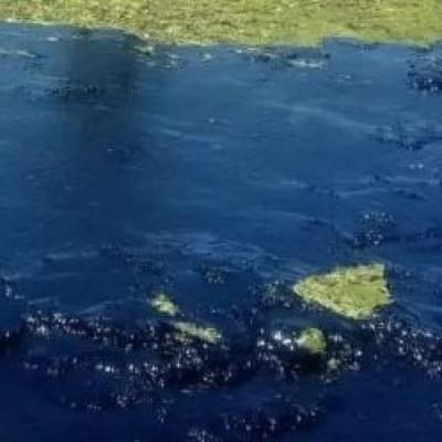 Óleo chega à Baía de Todos-os-Santos; Paraguaçu e Subaé podem ser atingidos